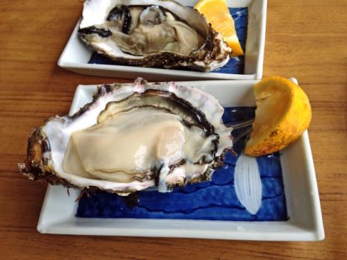 貧血を牡蠣で改善