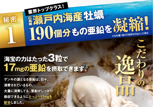 海宝の力の特徴