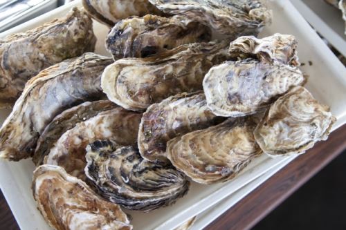 牡蠣と亜鉛
