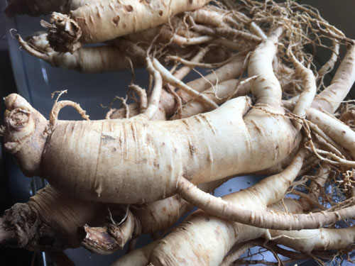 高麗人参と牡蠣のチカラ