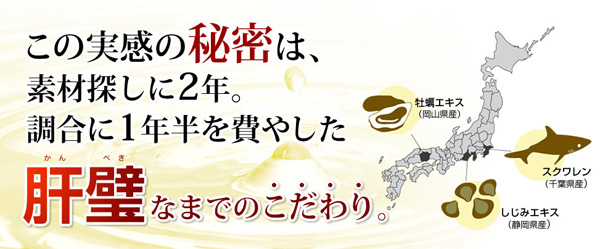 レバリズムの特徴