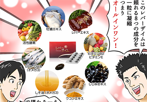 レバーザイムの特徴